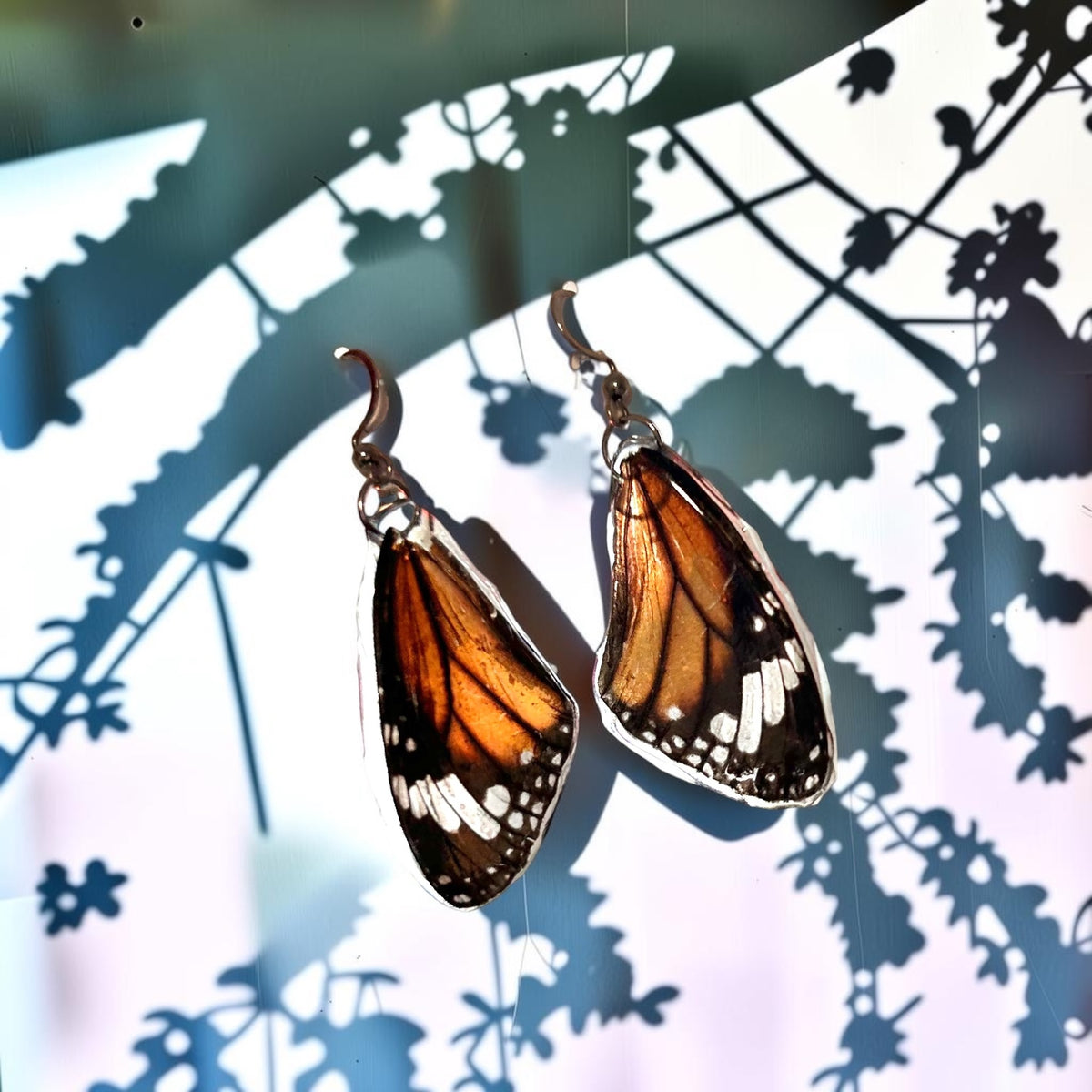 Celestial and Butterflies