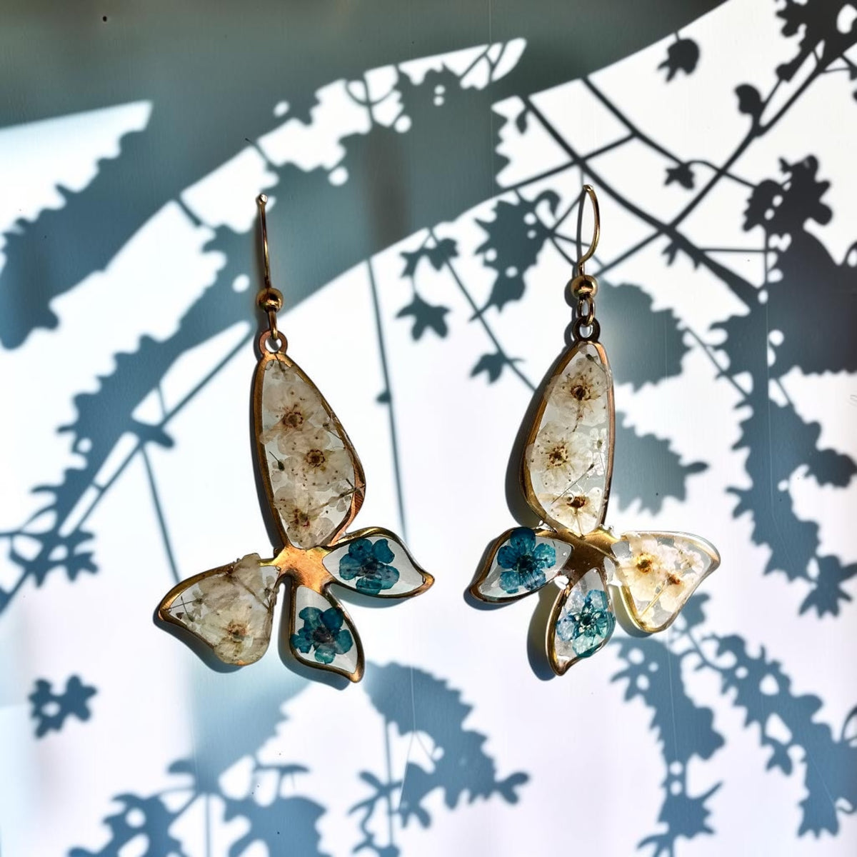 Forget Me Not Butterflies