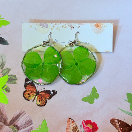Green Hydrangea in Round Silver