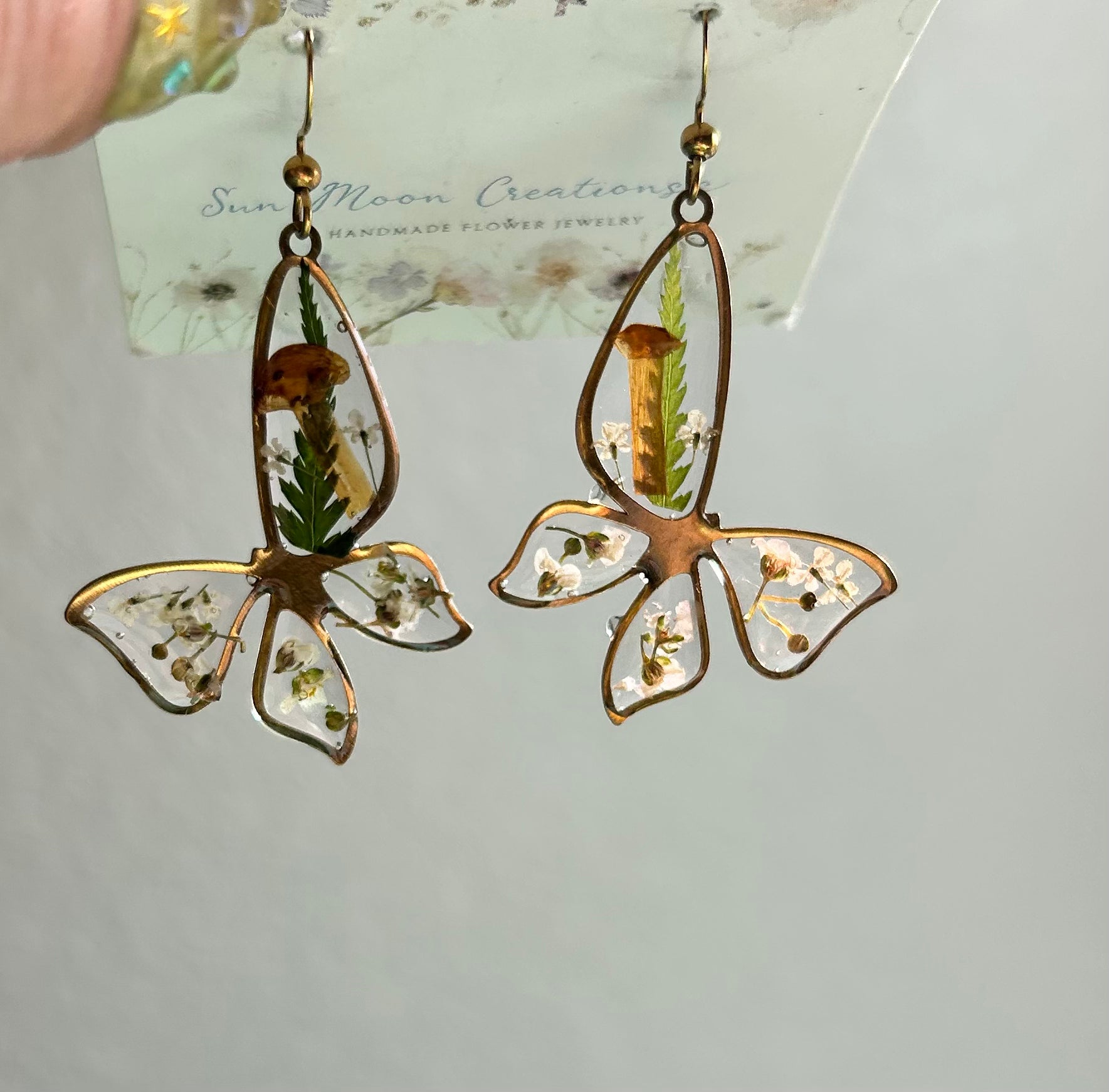 Butterflies and Mushrooms, oh my!