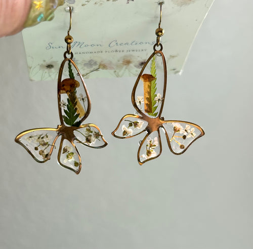 Butterflies and Mushrooms, oh my!