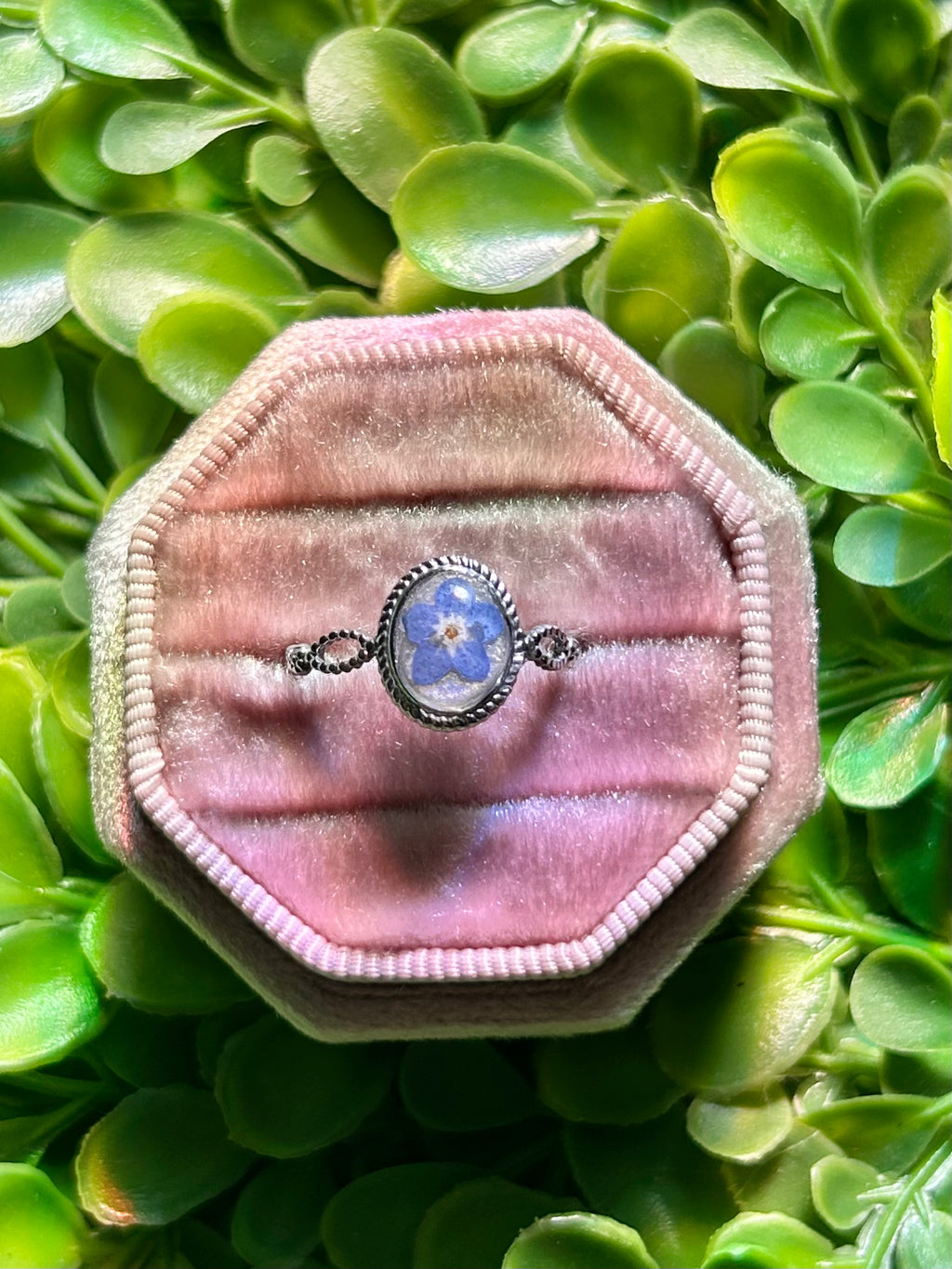 Forget Me Not Flower Ring in Silver